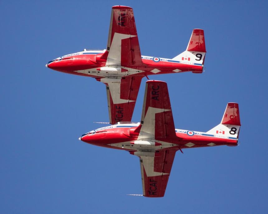 Peach Festival Snow Birds