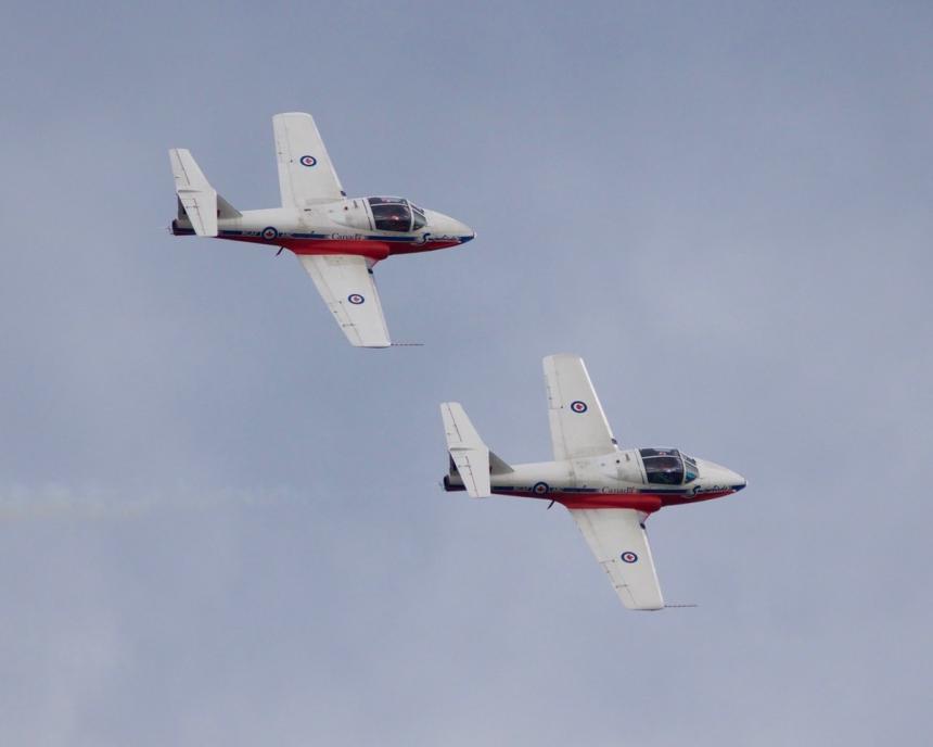 Peach Festival Snow Birds