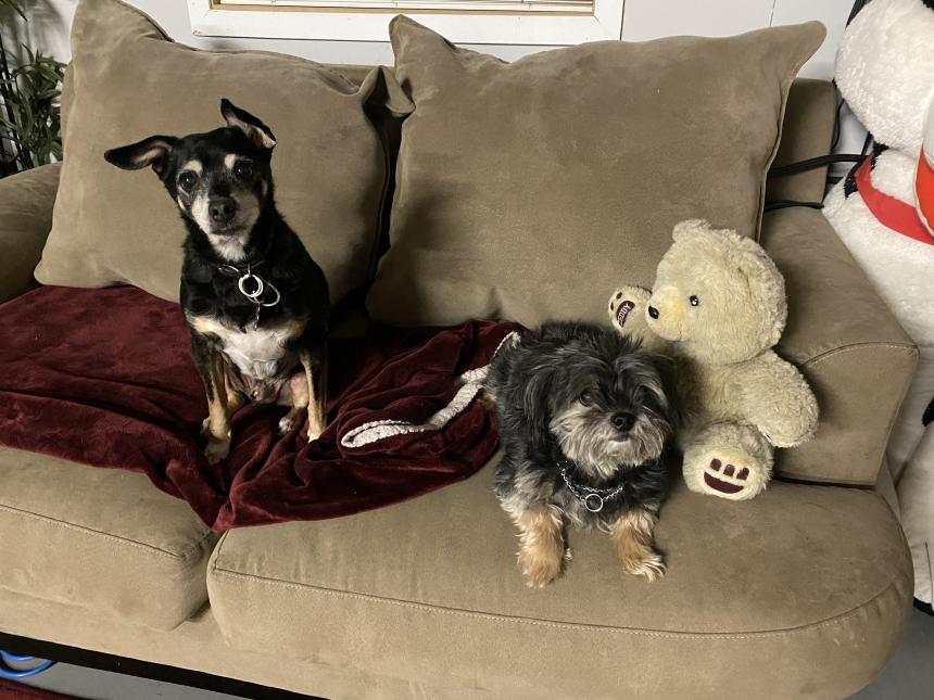 Animal Care and Control Facility 