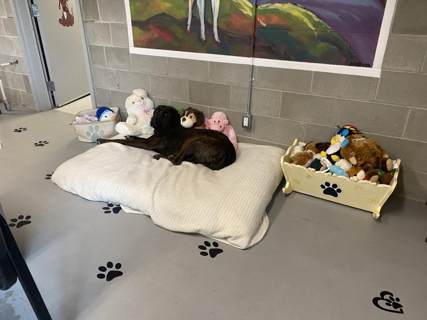 Animal Care and Control Facility 