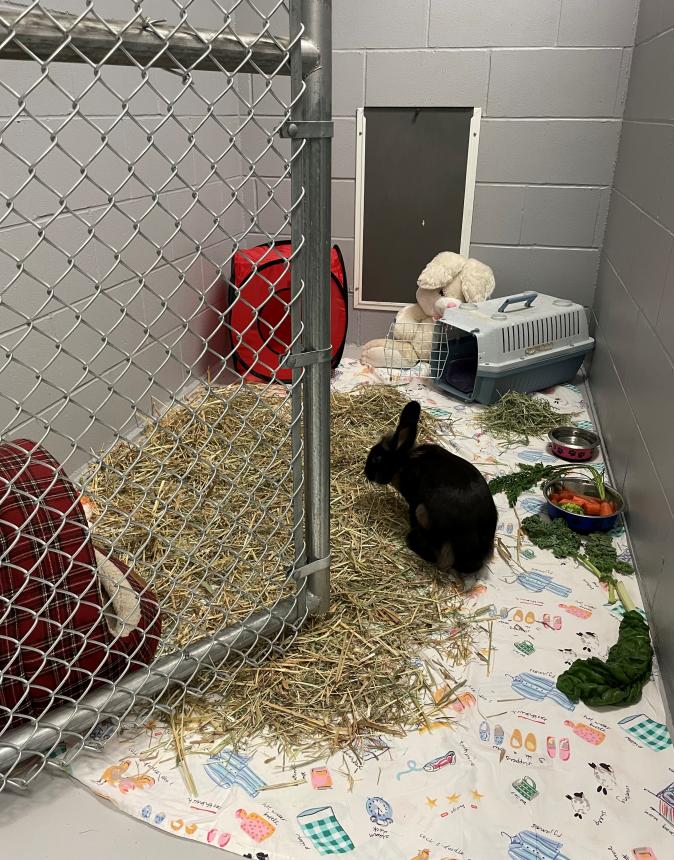 Animal Care and Control Facility 