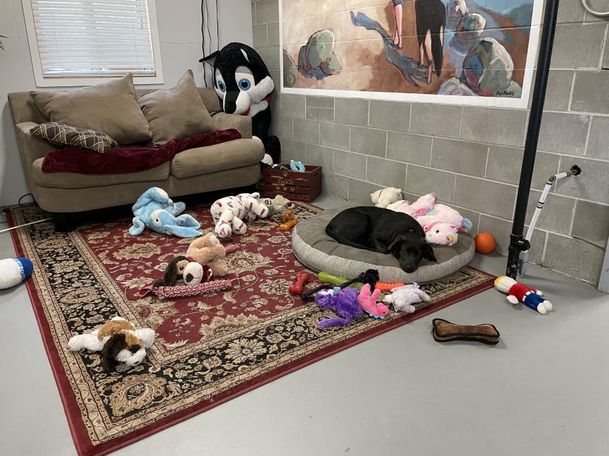 Animal Care and Control Facility 