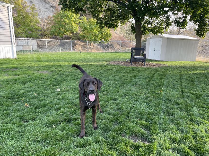Animal Care and Control Facility 