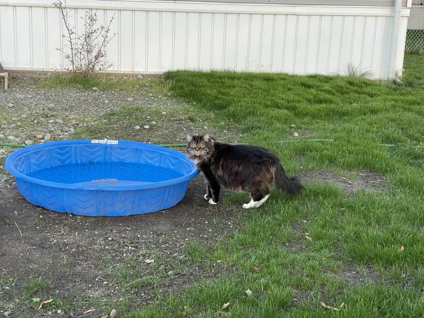 Animal Care and Control Facility 