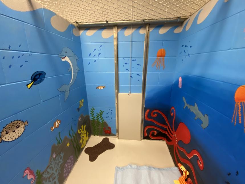 Animal Care and Control Facility 