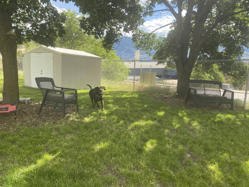 Animal Care and Control Facility 