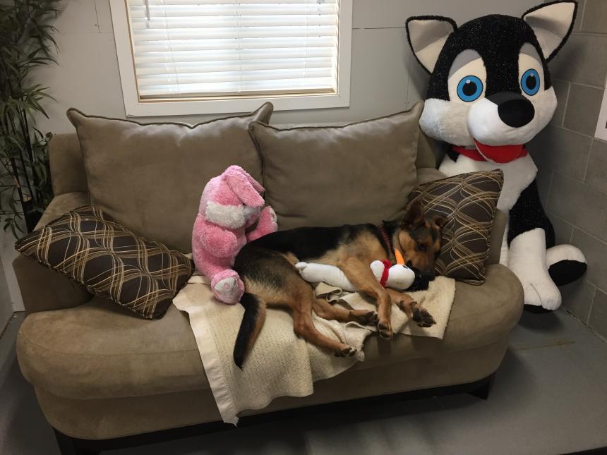 Animal Care and Control Facility 