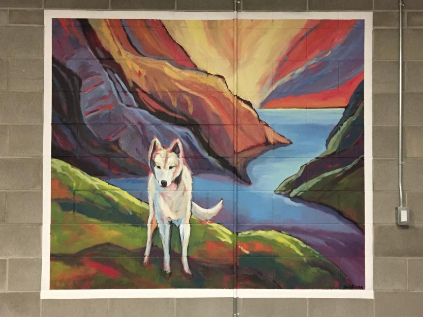 Animal Care Facility