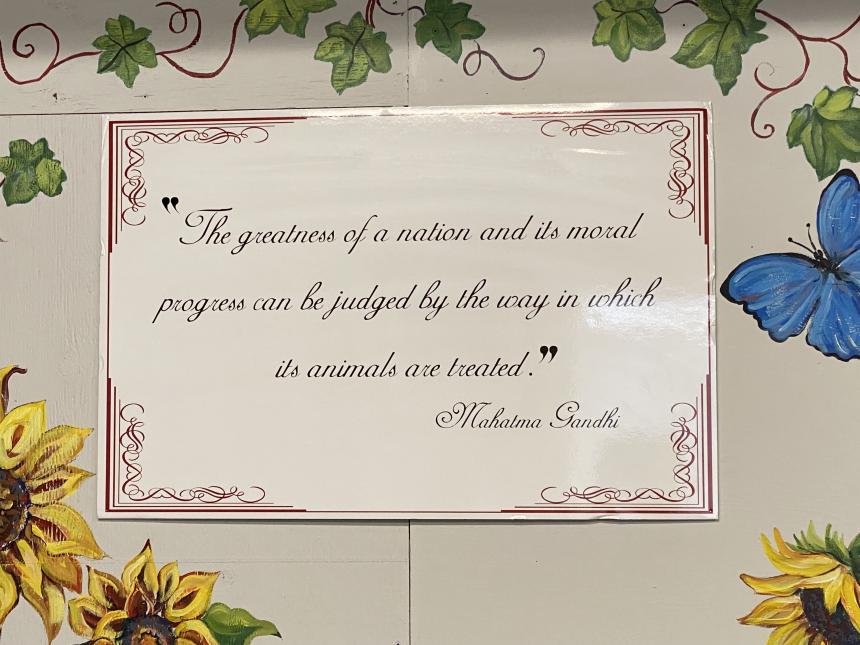 Animal Services mantra