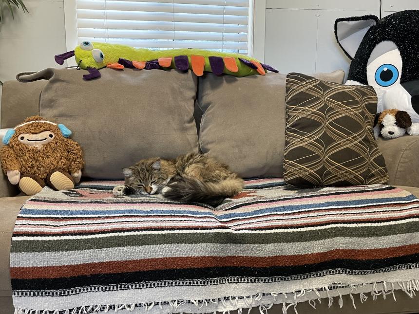 Animal Care Guest 13