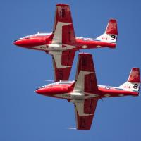 Peach Festival Snow Birds