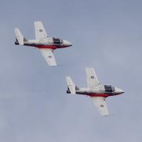 Peach Festival Snow Birds