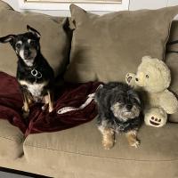 Animal Care and Control Facility 