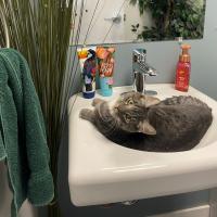 Animal Care and Control Facility 