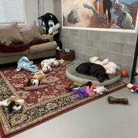 Animal Care and Control Facility 