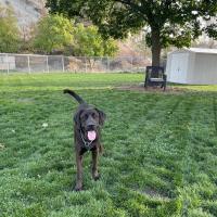 Animal Care and Control Facility 