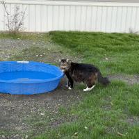 Animal Care and Control Facility 