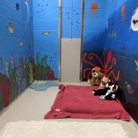 Animal Care Facility