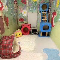 Animal Care Facility