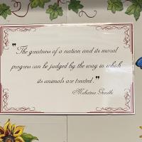 Animal Services mantra